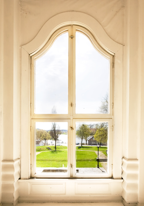 Specialty Shaped Windows