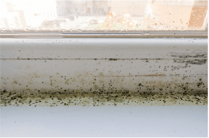 How to Prevent Mold on Your Window Sills(1)
